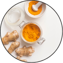 Curcuma